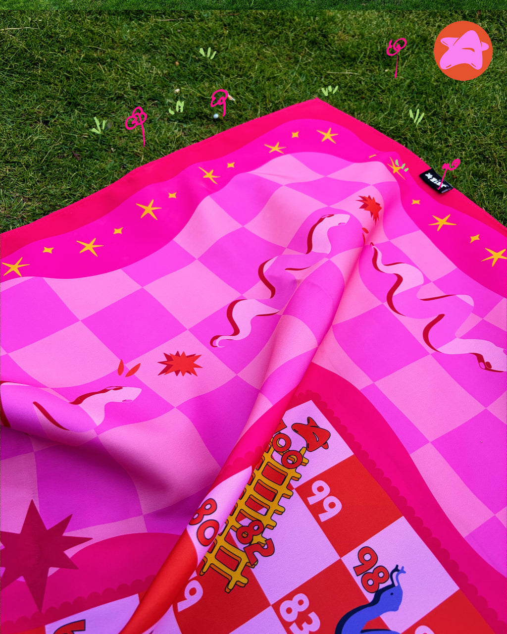 Picnic Snake and Ladder Game