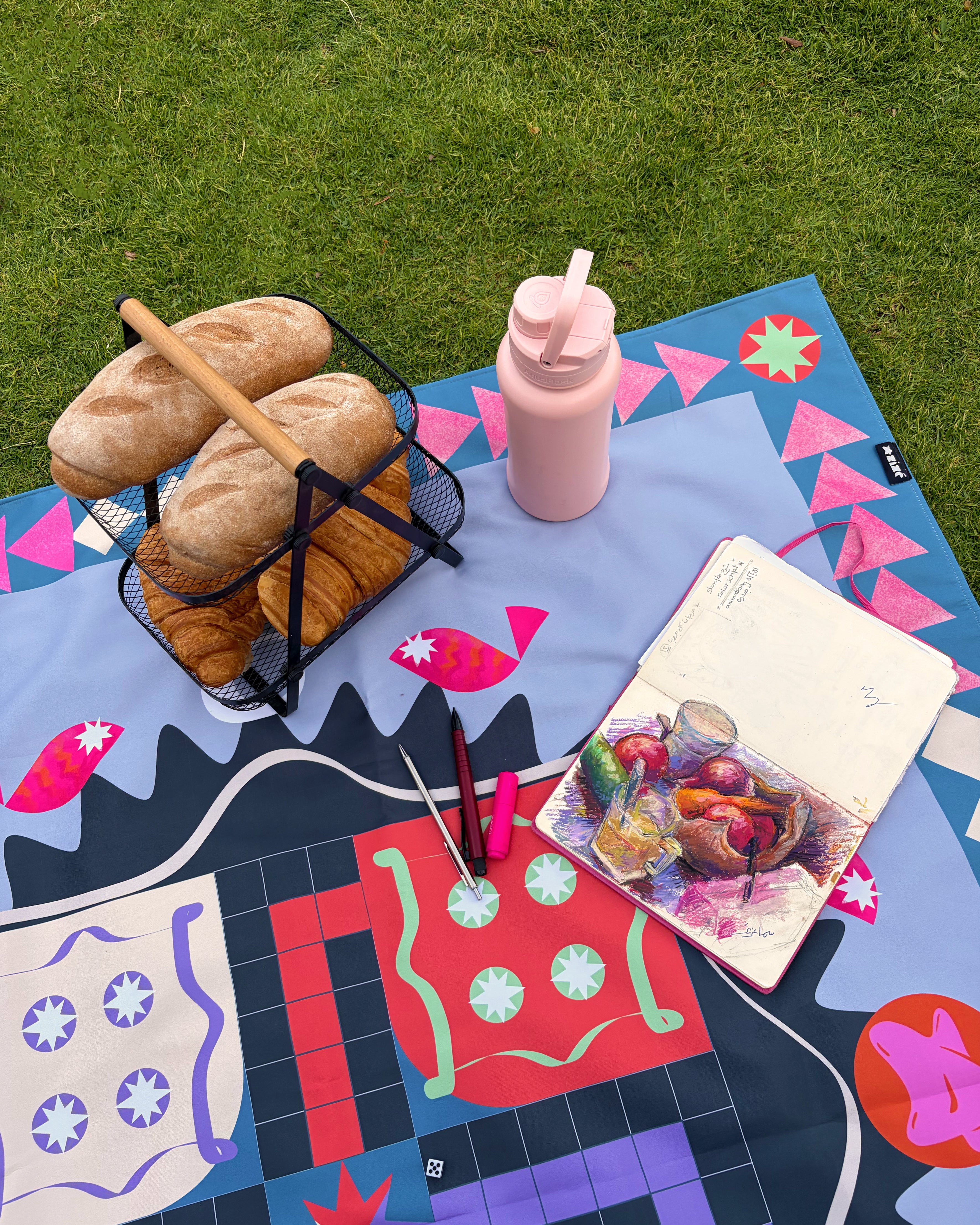 Picnic Ludo Game