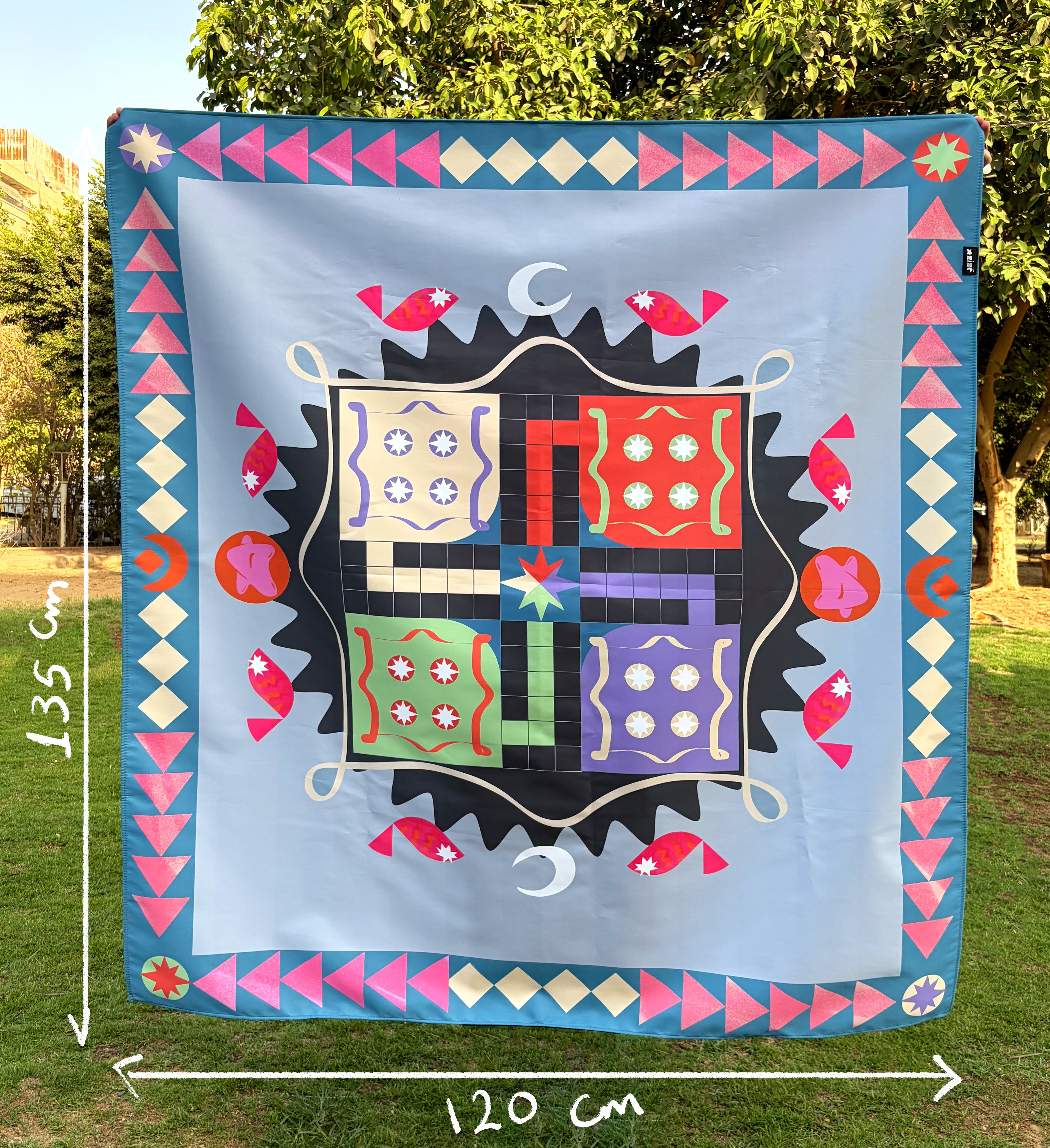 Picnic Ludo Game